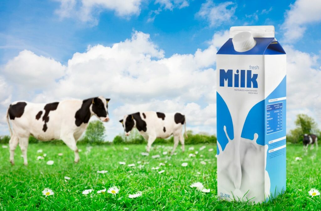 Why Choose Our Organic Dairy Products