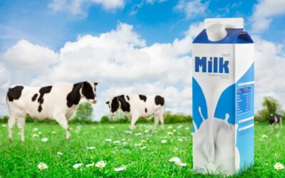Why Choose Our Organic Dairy Products
